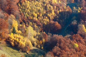 Golden autumn in mountain.