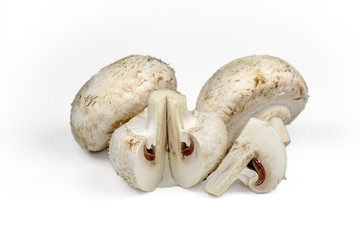 champignon mushrooms on white background