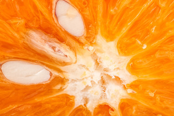  slice of orange as a background