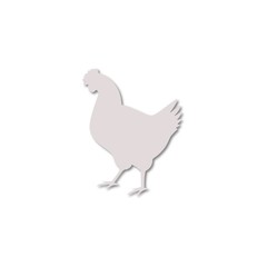 Fototapeta na wymiar Chicken icon