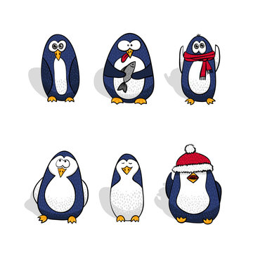 Penguins vector set. Isolated vector collection.