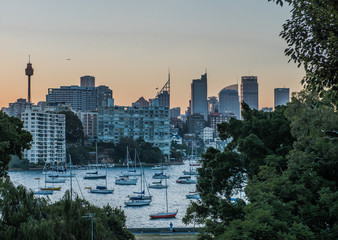Rushcutters Bay Skyline view in Sydney