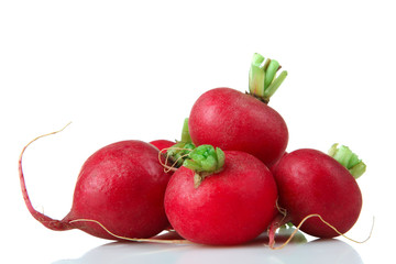 red radish is a bunch with green tail on a white isolated background