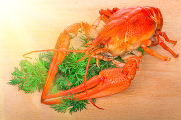 boiled crayfish with herbs