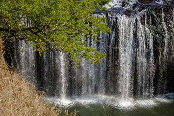Milstream Falls in autumn
Ravenshoe, Milstream National Park, North Queensland, Australia