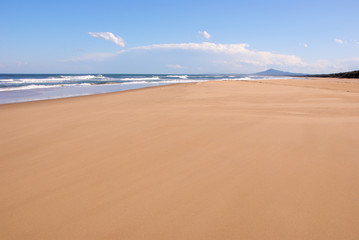 Fototapeta na wymiar Empty Bongil Beach in Bongil Bongil National Park Bungaden, New South Wales, Australia