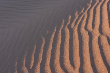Sossusvlei: Wellenmuster einer Sanddüne