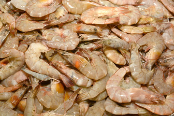 Fresh shrimps