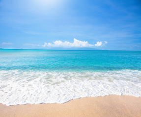 beach and tropical sea