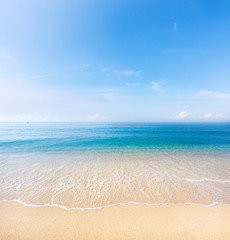 beach and tropical sea