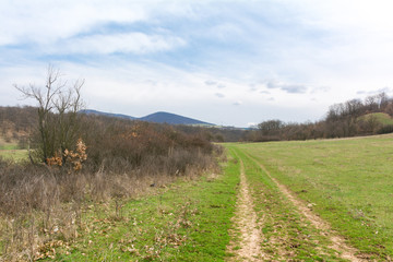 Beautiful forest, meadows and trees in the spring, Bulgaria