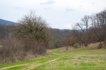 Beautiful forest, meadows and trees in the spring, Bulgaria