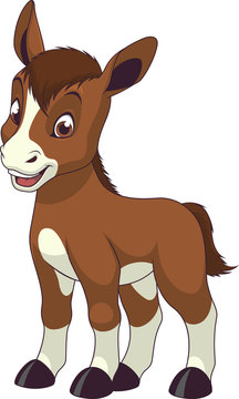 recommend clip art: Little funny foal