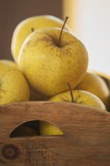 fresh autumn yellow apples on wooden table