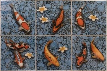 CARP fish mosaic tiles