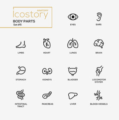 Body parts modern simple thin line design icons, pictograms set