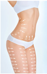 The cellulite removal plan. White markings on young woman body 