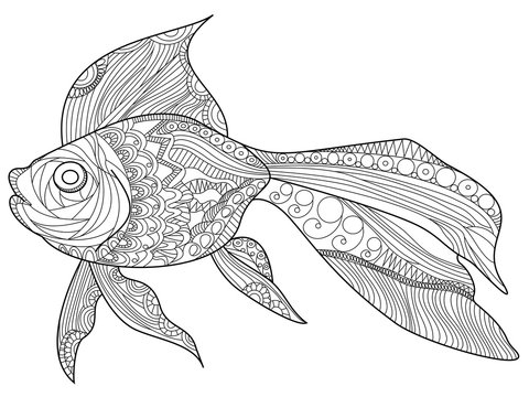 Goldfish Coloring book vector for adults