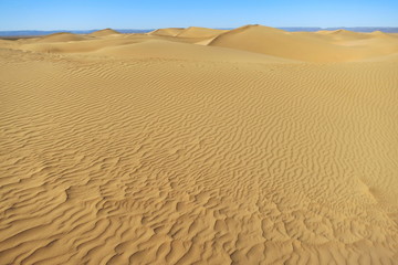 Sahara sand desert near Zagora, Morocco 1