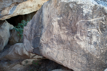 QOBUSTAN Prehistorical petroglyphs rock-painting in Azerbaijan