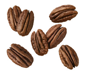Pecan nut set isolated on white background