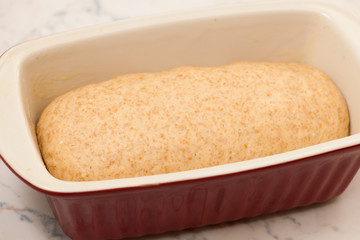 Hand kneaded dough for spelt bread rising in baking sheet.