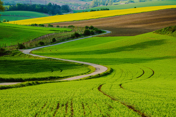 Rural landscape with green fields, road and waves, South Moravia, Czech Republic