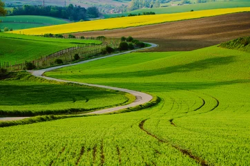 Fotobehang Rural landscape with green fields, road and waves, South Moravia, Czech Republic © Roxana