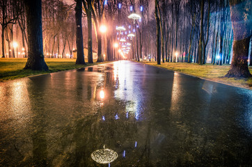 Park alley by night in Kharkiv