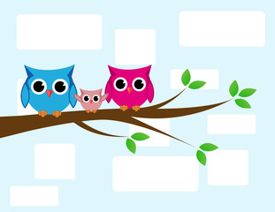 Obraz premium cute owls couple with baby owl sitting on a branch
