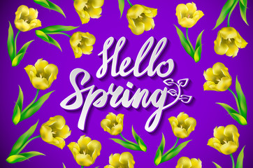 Obraz na płótnie Canvas Hand drawn spring inspirational quote - hello spring season of love. Pen and ink calligraphy. Brush painted purple letters on violet background and blossom cherry branches frame, vector illustration.