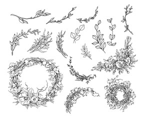 Vector hand drawn illustration. Floral background. Wreath, flowers, branches.