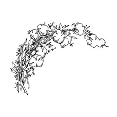 Vector hand drawn illustration. Floral background. Wreath, flowers, branches.