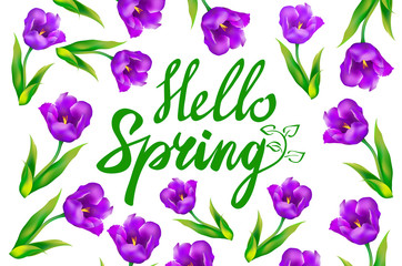 Hello Spring text with violet tulip flowers and butterflies