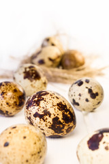 Obraz premium Quail eggs