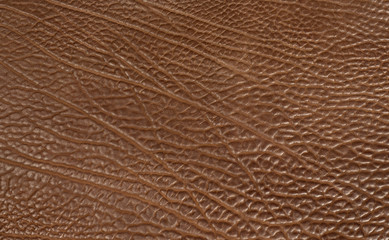 brown cow structure leather full background
