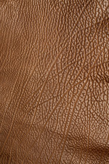 brown cow structure leather full background