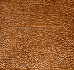 brown cow structure leather full background