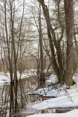The origins of the river Pekhorka