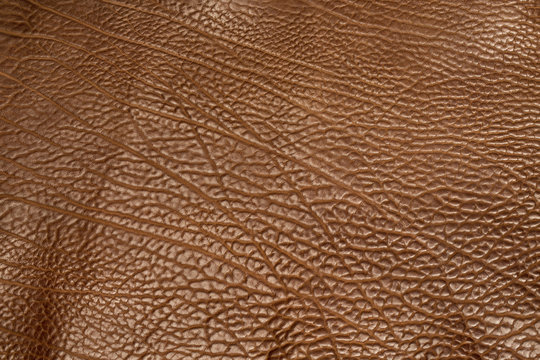 brown cow structure leather full background
