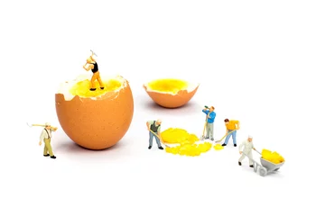 Foto auf Alu-Dibond Team of miniature human figurines transporting chicken egg yolk © benschonewille