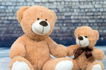 Teddy Bear / two teddy bear friends
