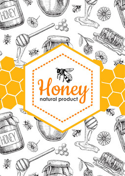 Vector Honey Bee Hand Drawn Illustrations.  Honey Banner, Poster