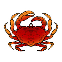 Graphic vector crab
