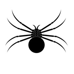 Black spider