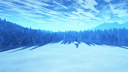Winter Scene with Pine Forest