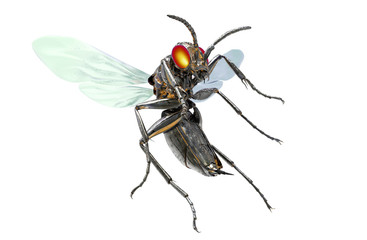 metal robot insect isolated on white with clipping path, 3D illu