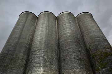 Old silos in the city