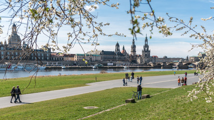 Frühling in Dresden an der Elbe - Altstadtpanorama