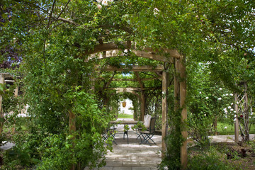 Patio and rose garden